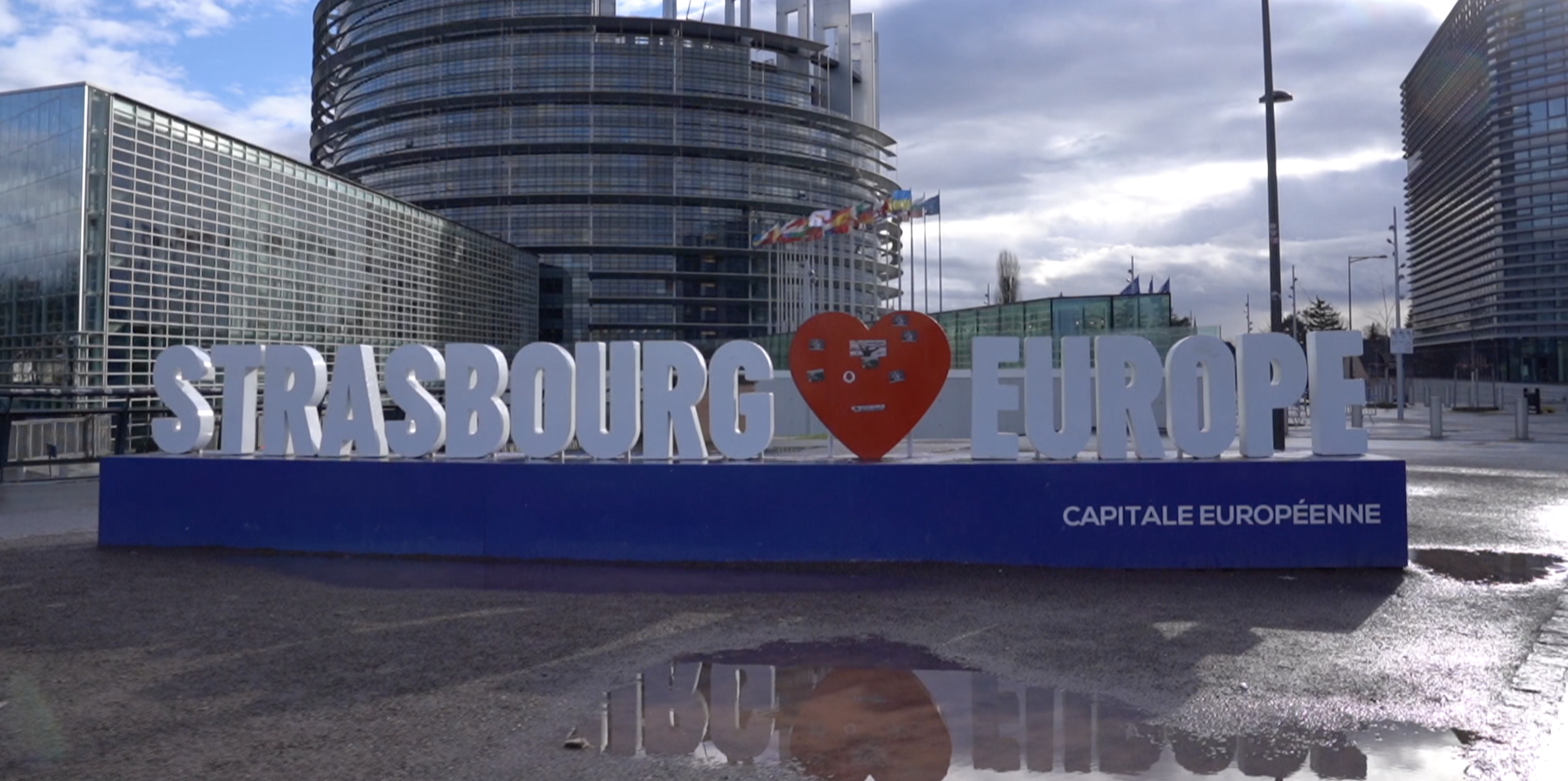 Parlamenterekî Ewropayê: Em rûyê xwe ji Kurdan wernagerînin